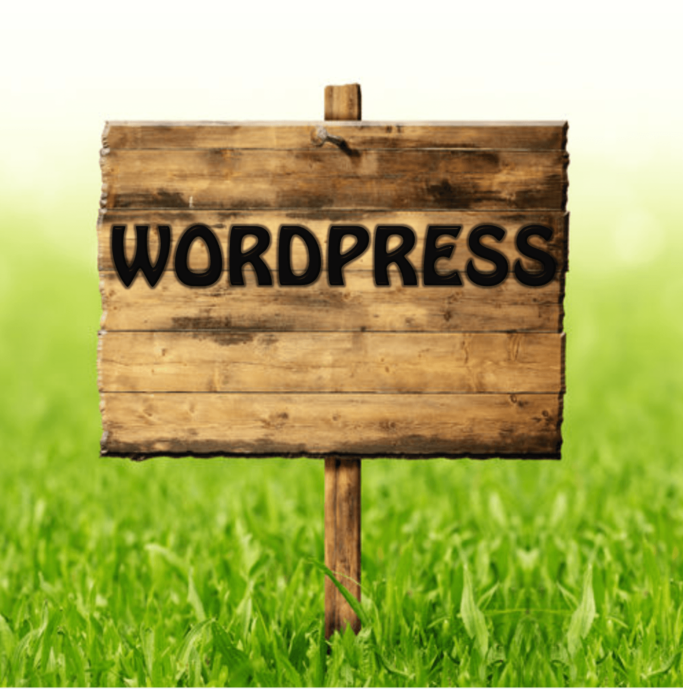 Wordpress Post