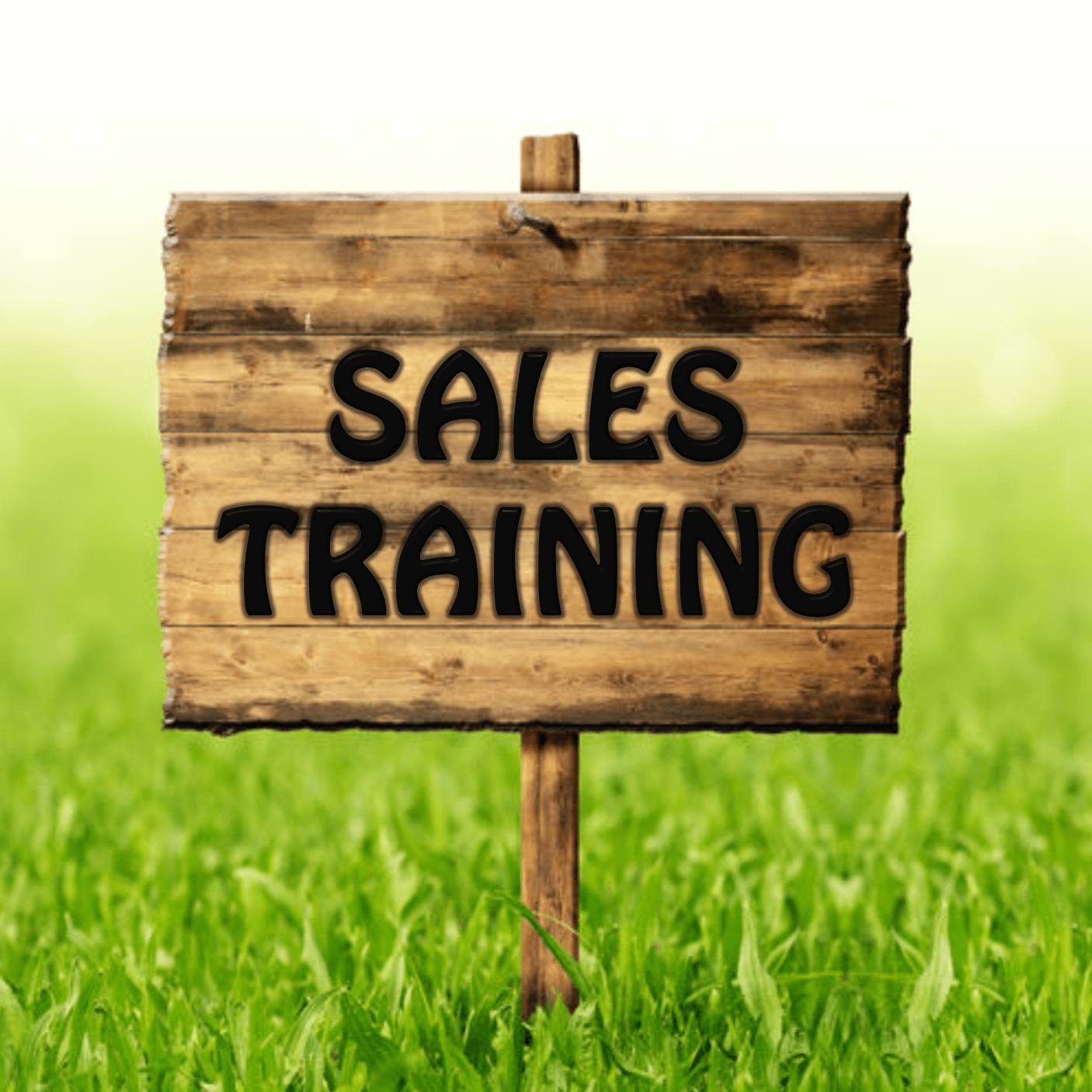 Sales Training